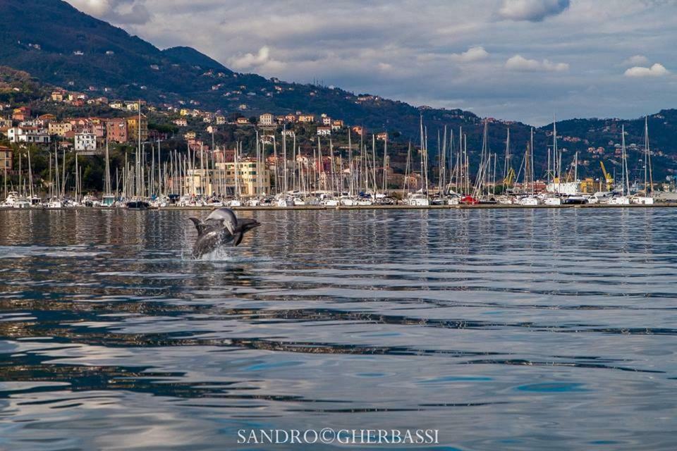 Number40Laspezia La Spezia Extérieur photo